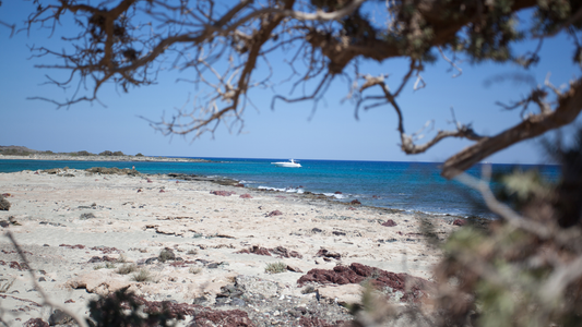 Chrissi Island Kreta | Ontdek het tropische paradijs van Oost-Kreta