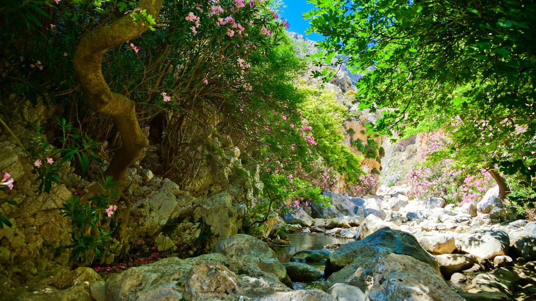 Ontdek de Kourtaliotiko-kloof op Kreta. Bewonder steile rotswanden, natuurlijke bronnen, watervallen en spectaculaire uitzichten op weg naar het beroemde Preveli Beach.