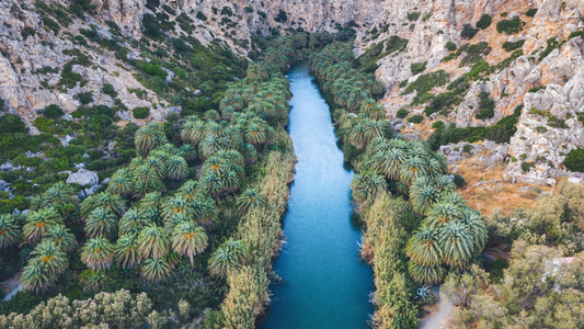 Ontdek de Preveli-kloof op Kreta. Wandel door een uniek palmenbos langs een rivier die uitmondt in de Libische Zee en bezoek een van de mooiste natuurgebieden van het eiland.