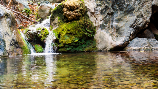 Ontdek de Richtis-kloof op Kreta. Wandel door een groene kloof met beekjes, bruggen, rijke natuur en de beroemde Richtis-waterval nabij Sitia en Agios Nikolaos.