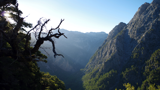 Samariakloof Kreta | Wandel door de beroemdste kloof van Griekenland