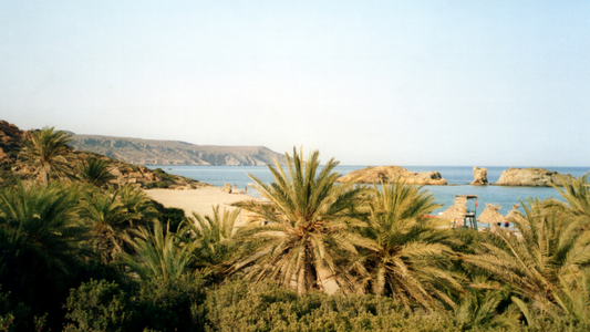 Vai Beach Kreta | Het beroemde palmenstrand van Griekenland