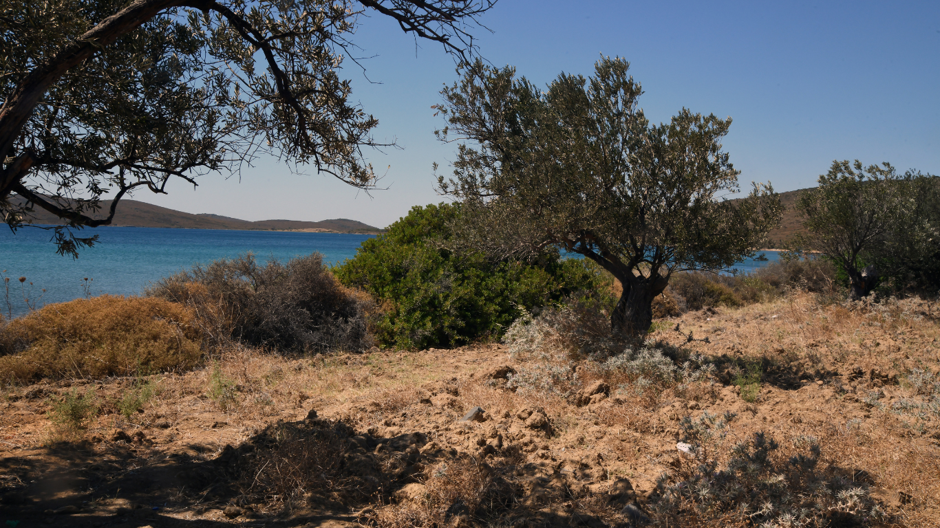 Fles Terra Creta Extra Vierge Olijfolie – geproduceerd in Kolymvari, Kreta, biologisch en koudgeperst.